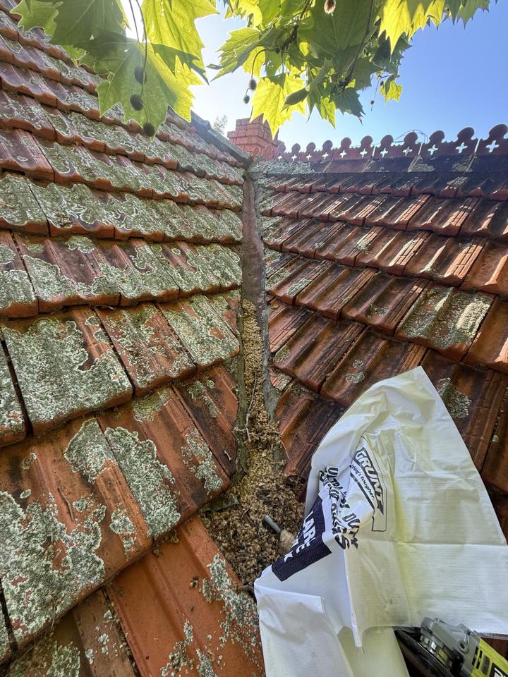 Old valley on a terracotta roof full of leaf debris and moss